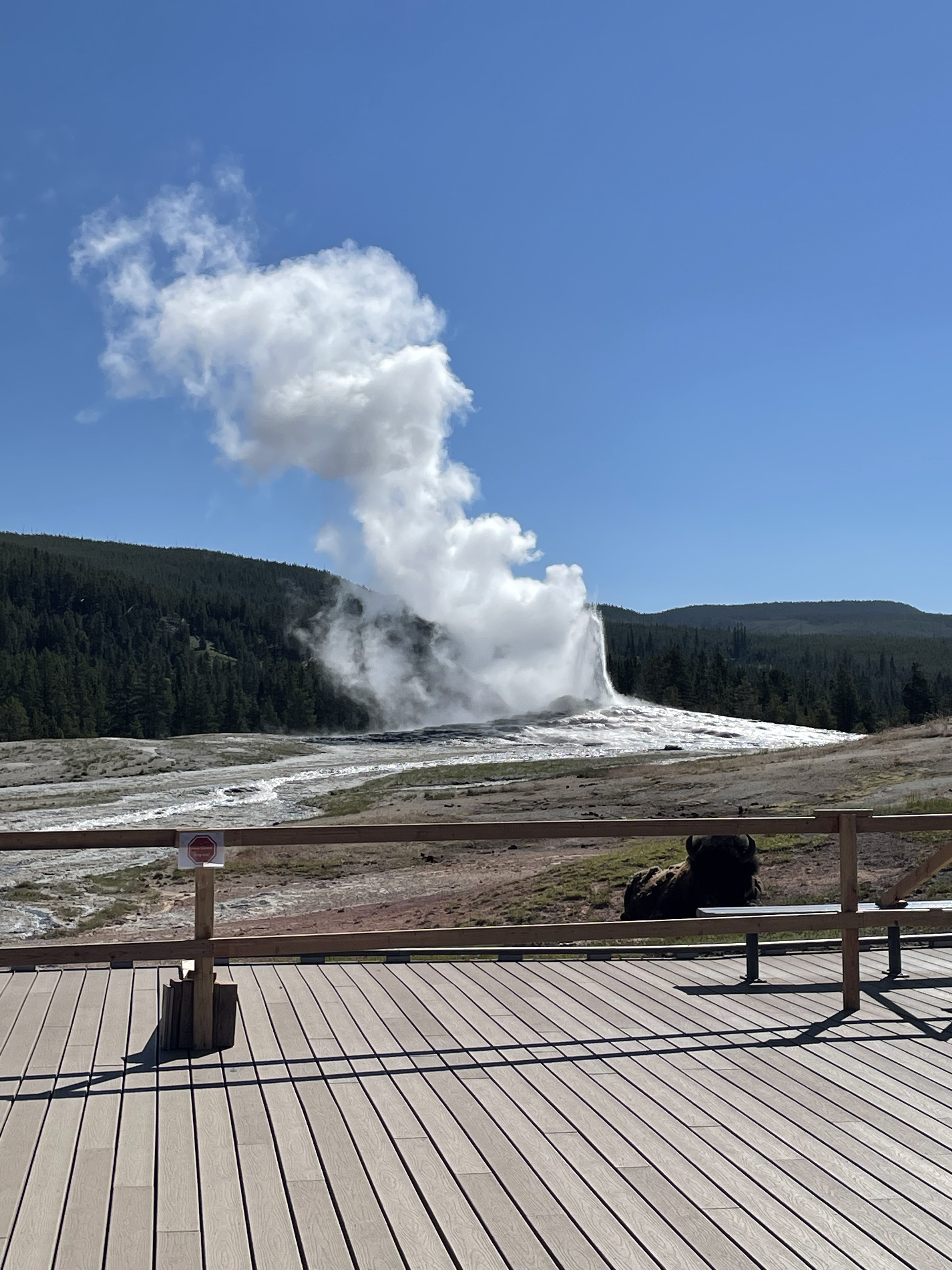 yellowstone_3